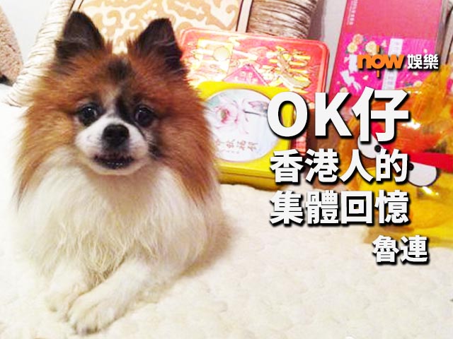 〈娛樂乜乜乜〉生命中永遠的忠角 | Now 新聞