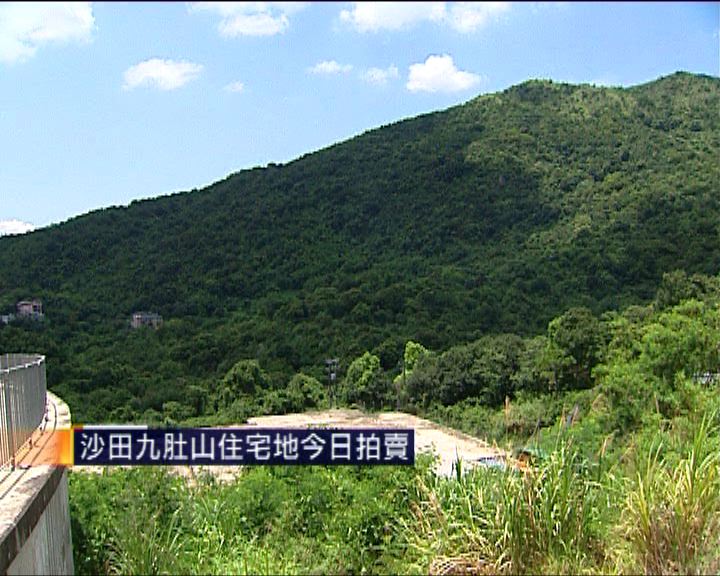 
沙田九肚山住宅地今日拍賣