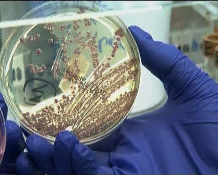 
世衛指腸出血性大腸桿菌屬新種