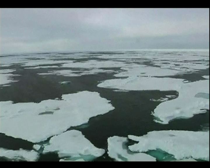 
南極水質變酸軟體生物面臨威脅