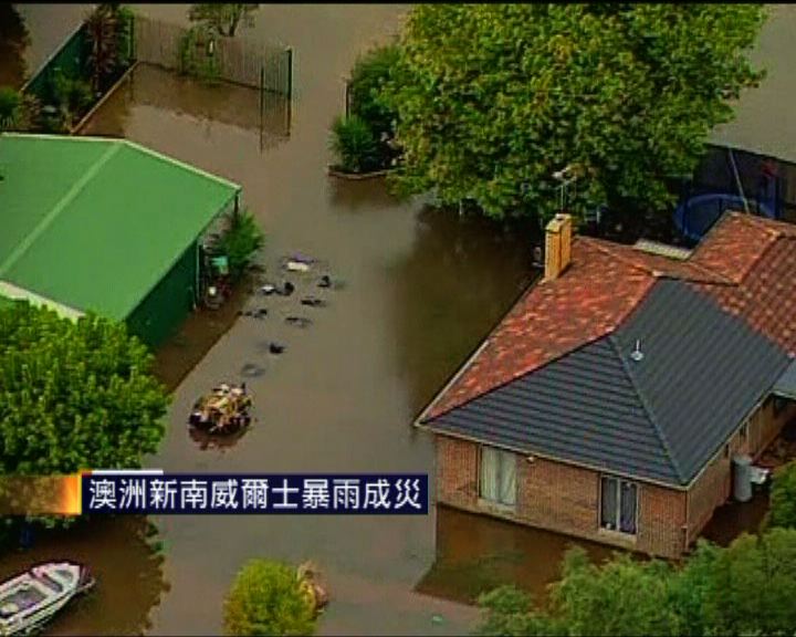 
澳洲新南威爾士省暴雨成災