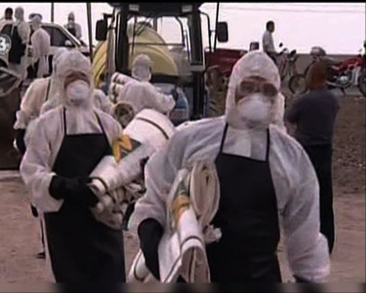 
新疆農場禽流感疫情受控