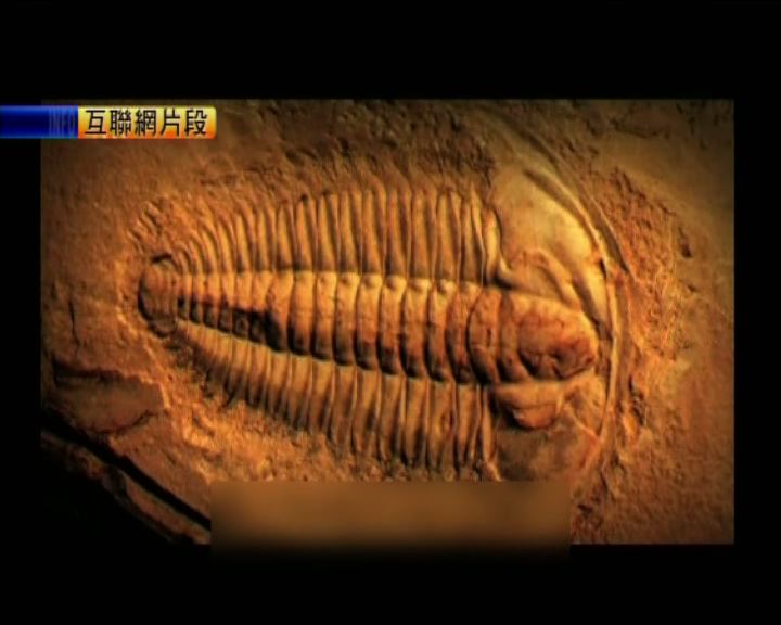 
雲南澄江化石地被列為世界遺產