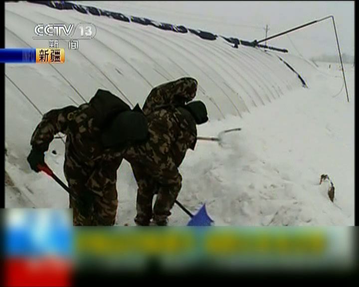 
新疆出現極寒天氣將有大範圍雪雨