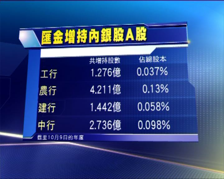 
四大國有銀行公布匯金增持詳情