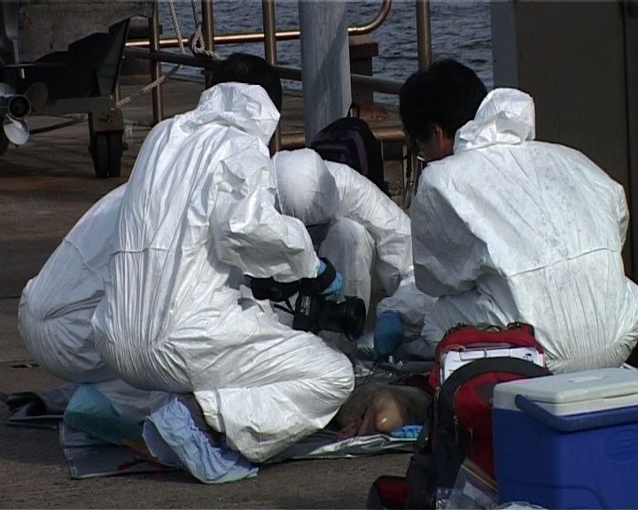 
馬灣發現中華白海豚屍體