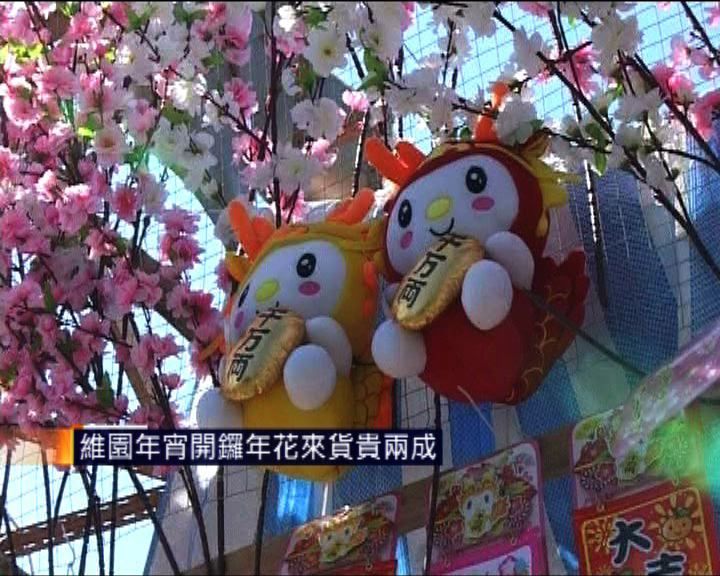 
維園年宵開鑼龍年精品應市