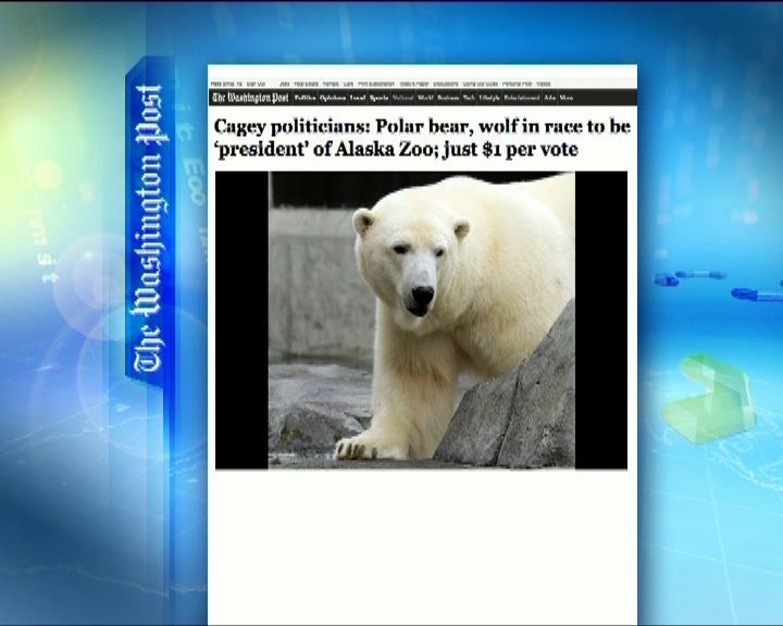 
環球薈報：美國動物園舉行「總統選舉」