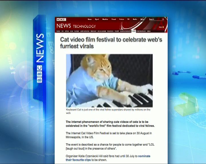 
環球薈報：美國電影節以寵物貓為主角