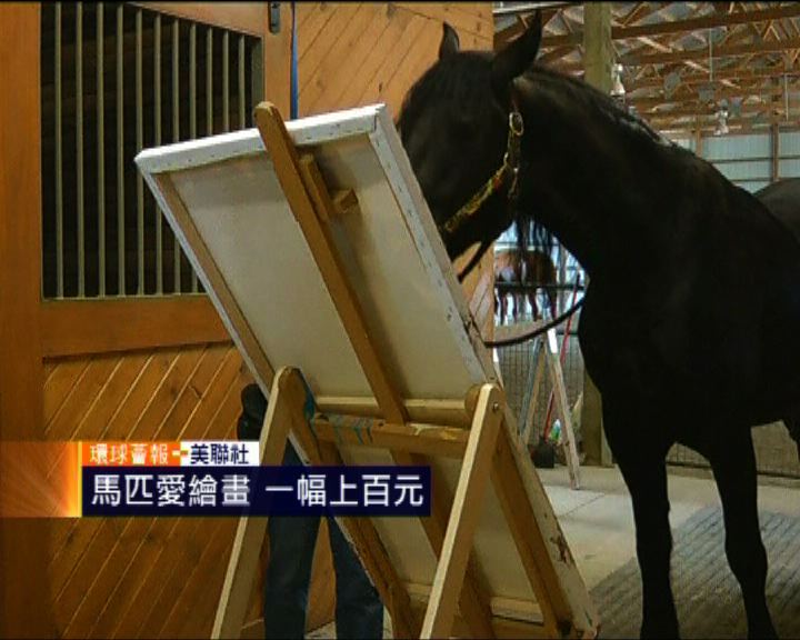 
環球薈報：馬匹繪畫作品值上百元
