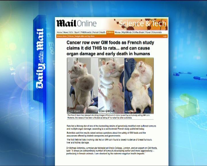 
環球薈報：研究指老鼠吃基因改造粟米致癌