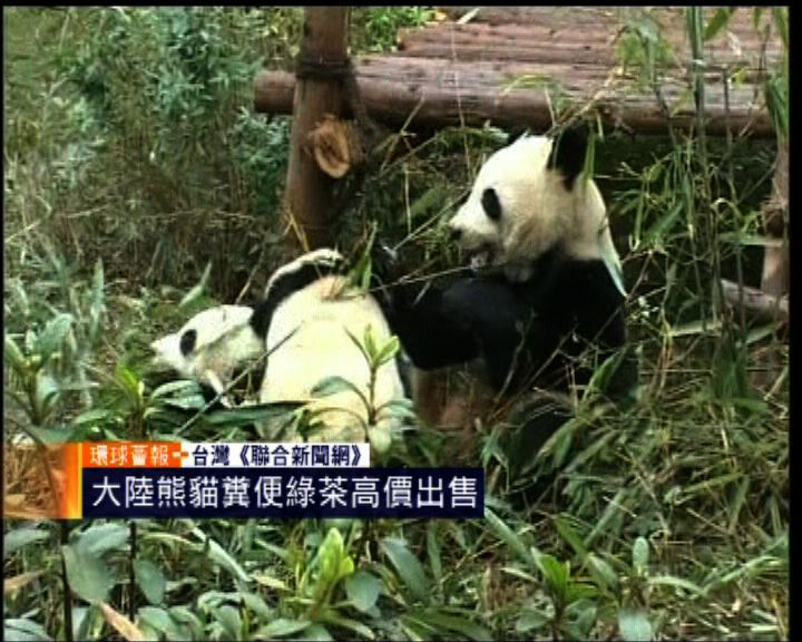 
環球薈報：大陸熊貓糞便綠茶高價出售