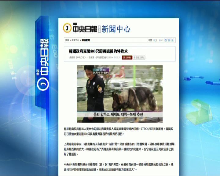 
環球薈報：南韓政府複製800將退役特殊犬