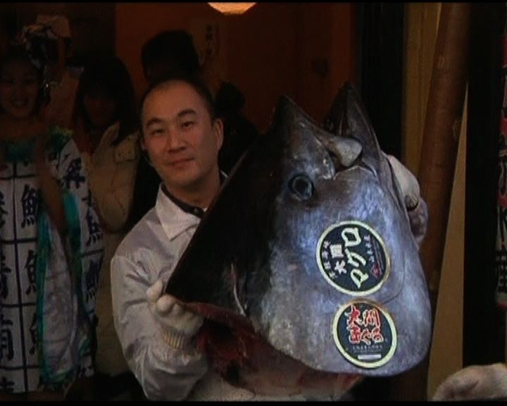 
「日本一」藍鰭吞拿魚王終由日本人投得