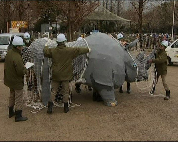 
上野動物園職員扮犀牛演習