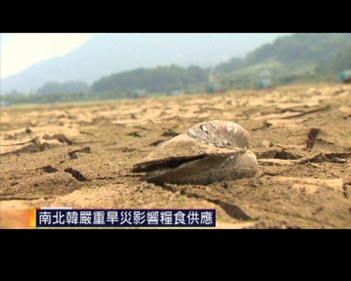 
南北韓嚴重旱災影響糧食供應