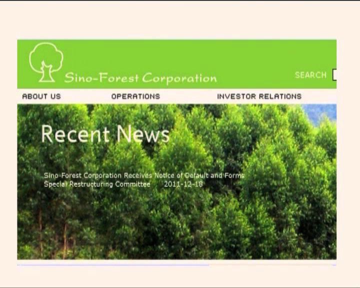 
嘉漢林業將申請破產保護