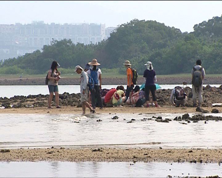 
漁護署籲遊人到生態環境觀賞自律