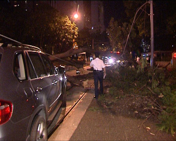 
跑馬地大樹倒塌壓中私家車