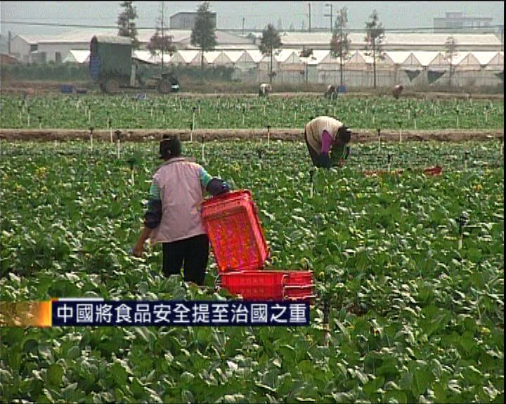 
中國將食品安全提至治國之重