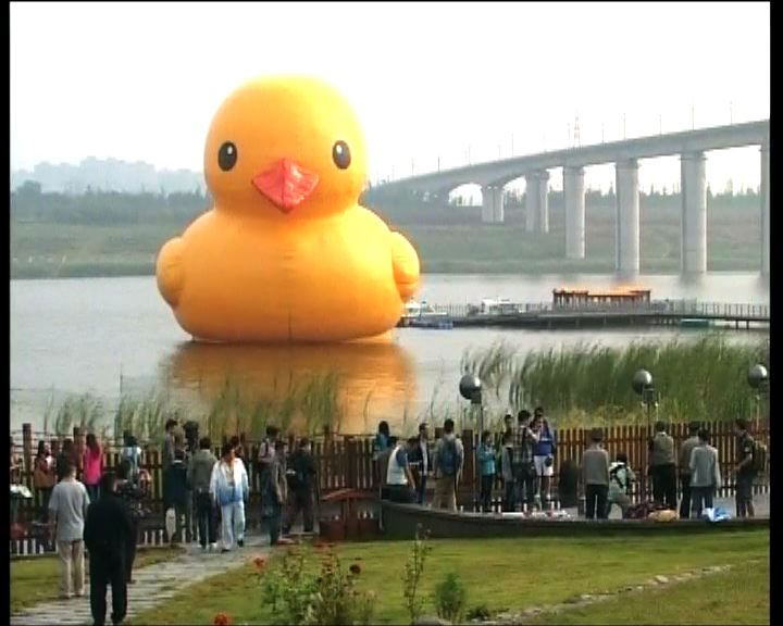 
黃色巨鴨北京展出