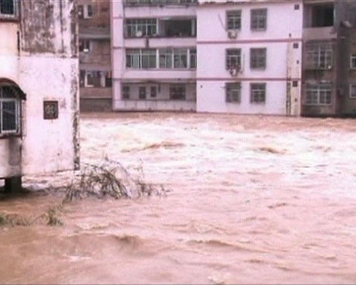 
廣東廣西暴雨引發多處洪災