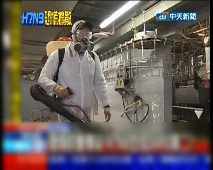 
台灣列H7N9為法定傳染病