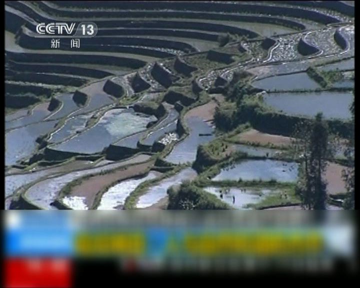 
雲南哈尼梯田列入世界文化遺產