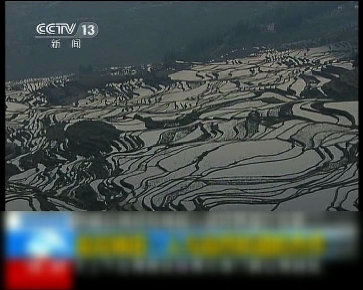 
富士山及哈尼梯田列入世界文化遺產