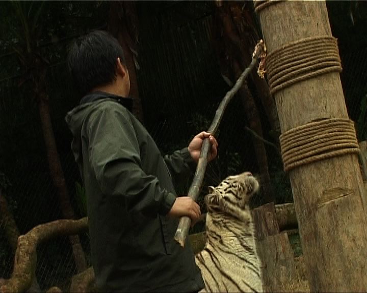 
環球薈報：廣州動物園飼養員要考馬克思