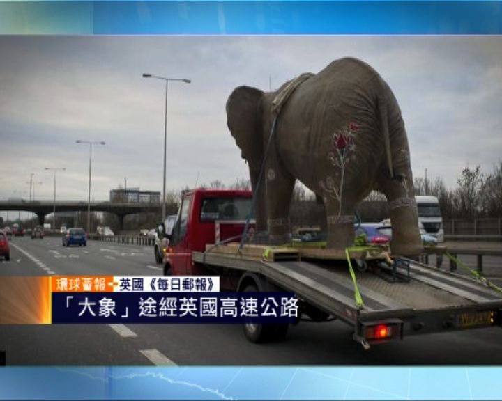 
環球薈報：「大象」途經英國高速公路