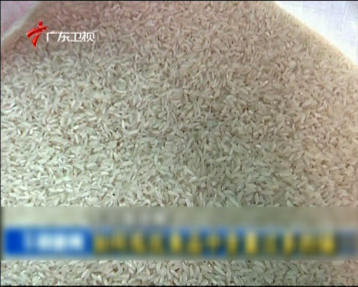 
廣州抽查米製品樣本鎘含量超標