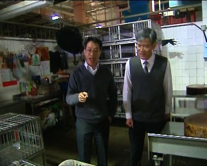 
食環署署長巡視雞檔衞生情況
