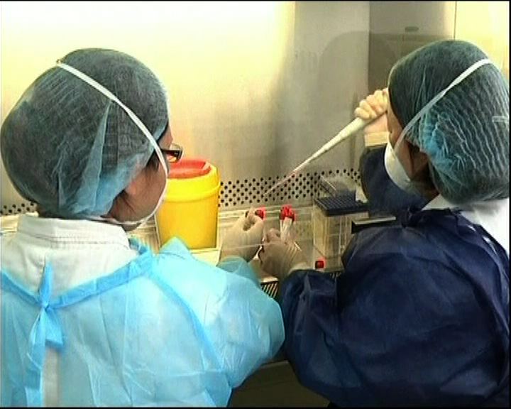 
世衛專家警告H7N9威脅重大