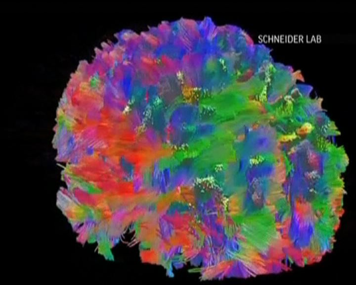 
科學家研製電腦模仿人腦