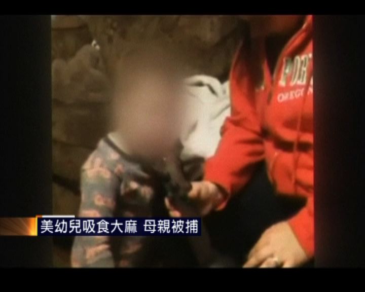 
美幼兒吸食大麻母親被捕