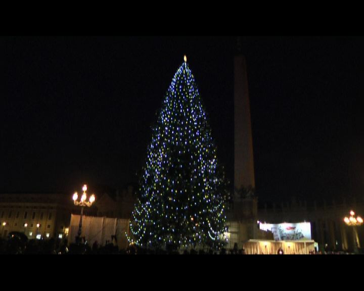
梵蒂岡聖誕樹舉行亮燈儀式