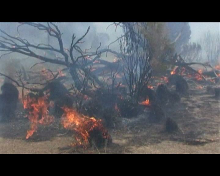 
熱浪侵襲澳洲南部觸發山火
