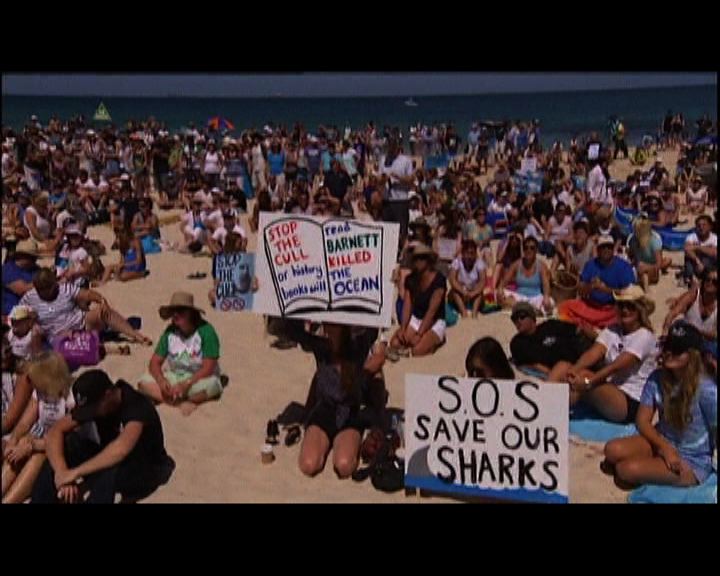 
澳洲民眾集會反對捕殺鯊魚政策
