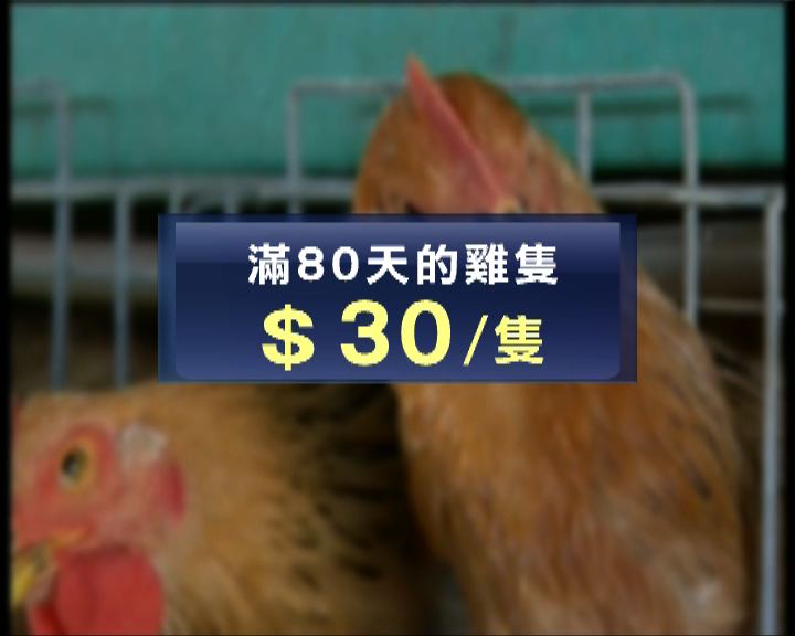 
政府建議每隻活雞賠償30元
