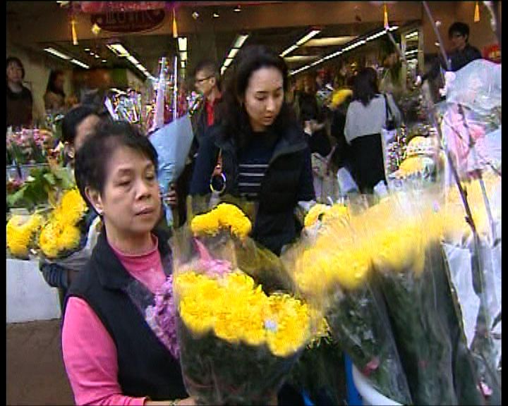 
花墟檔主：年花生意較去年增逾三成