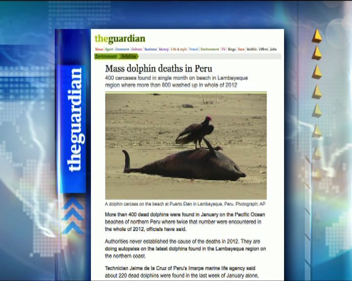 
【環球薈報】秘魯400海豚集體離奇死亡