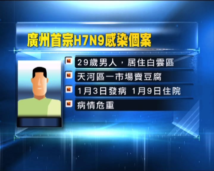 
廣州出現首宗人類感染H7N9禽流感個案