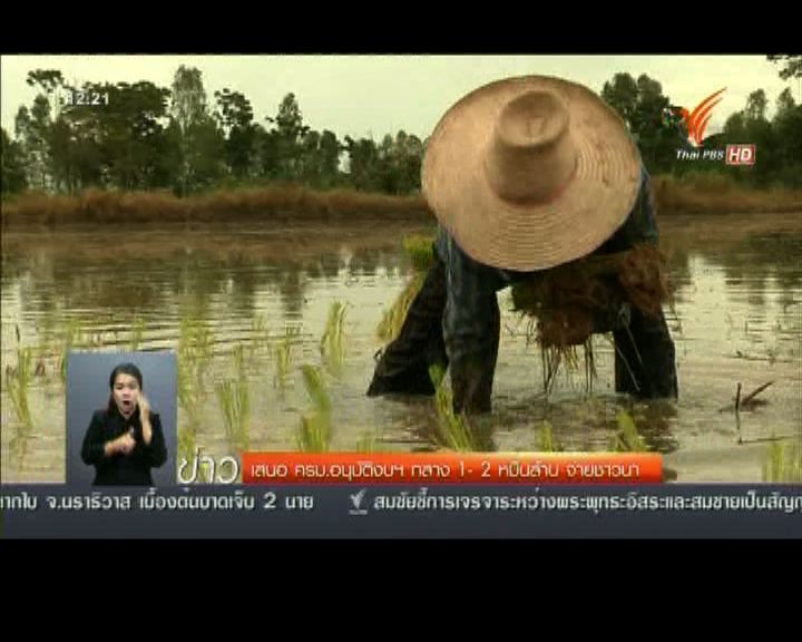 
泰政府調撥資金支付大米補助