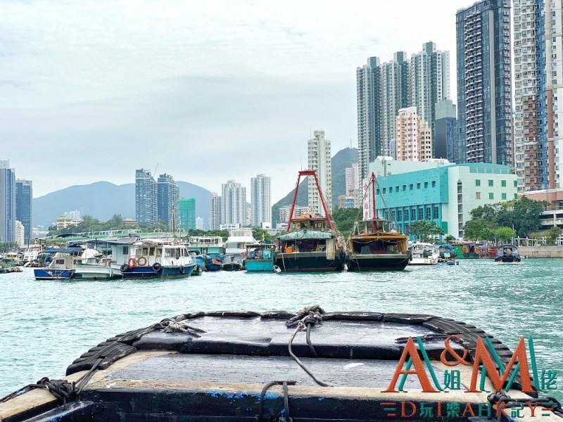 〈好遊〉呢個故事由一個漁村講起　香港仔避風塘浪遊漁港1773