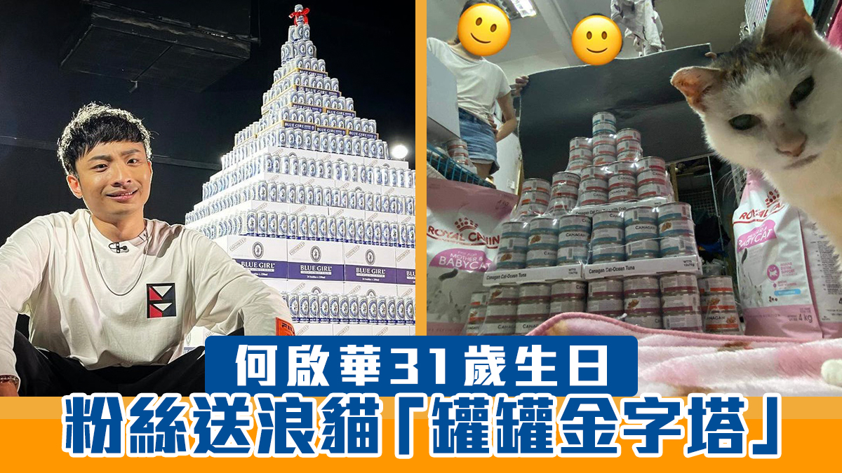 Dee哥何啟華31歲生日　粉絲送浪貓「罐罐金字塔」