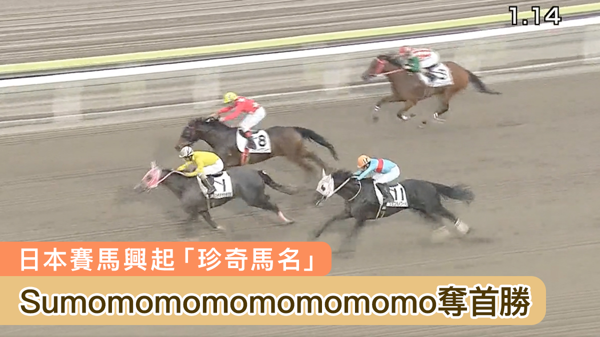 【有片】日本賽馬興起「珍奇馬名」　專業旁述似讀急口令：Sumomomomomomomomo贏得靚