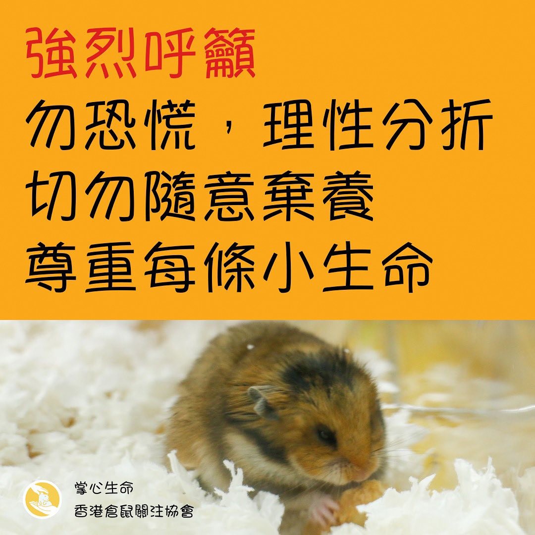 Photo / Facebook@掌心生命-香港倉鼠關注協會