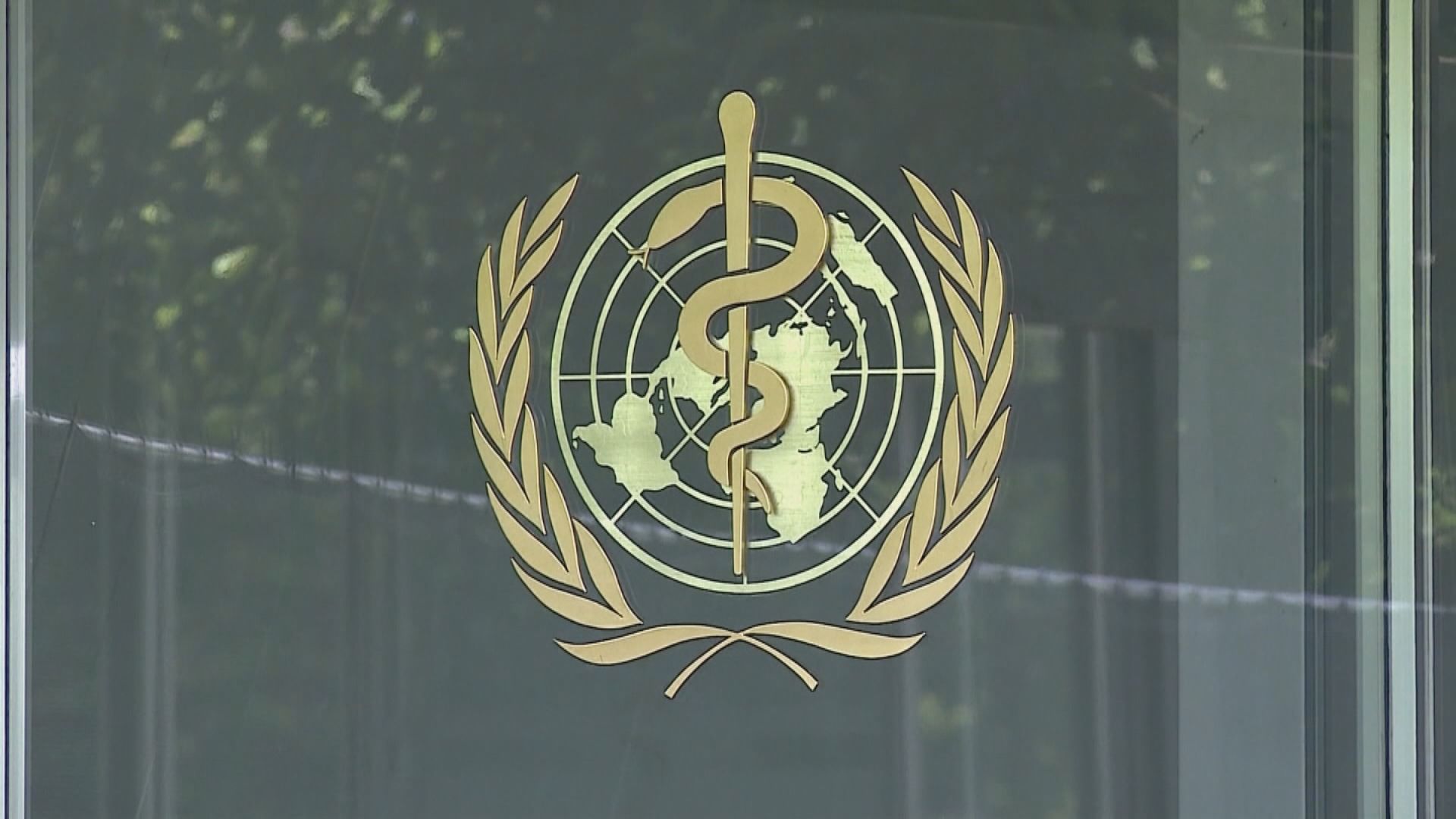 WHO：猴痘對公共衛生構成中度風險