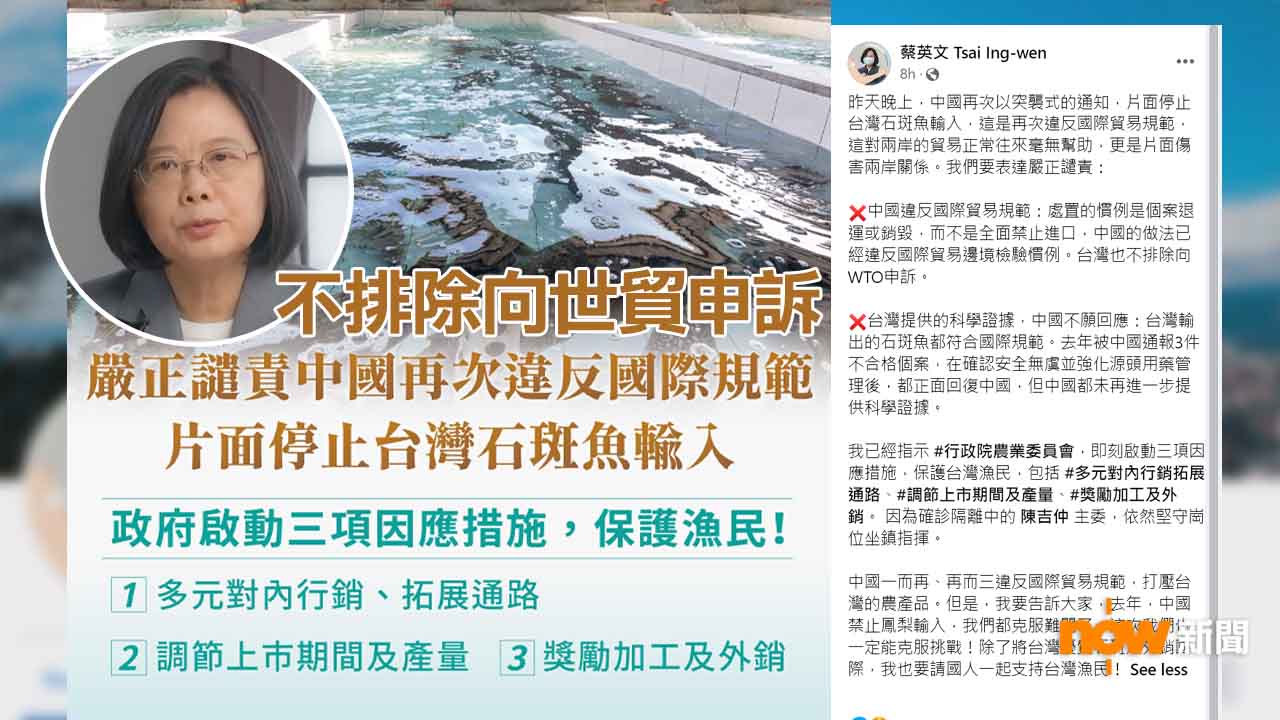大陸下周一起禁止由台灣輸入石斑魚　蔡英文不排除向世貿申訴